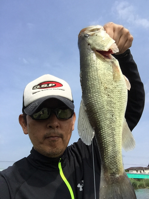 すぅさん