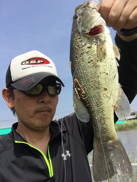 すぅさん