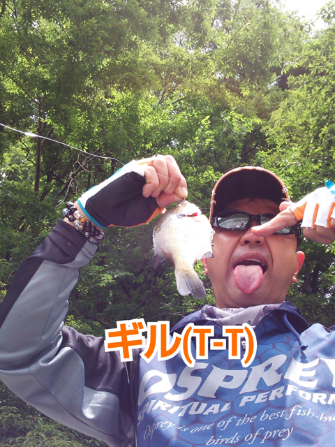 SEIGO