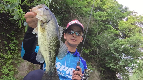 ouachita