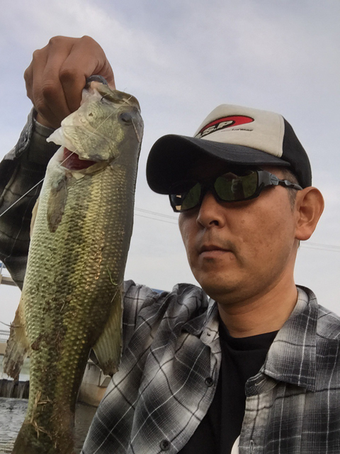 すぅさん