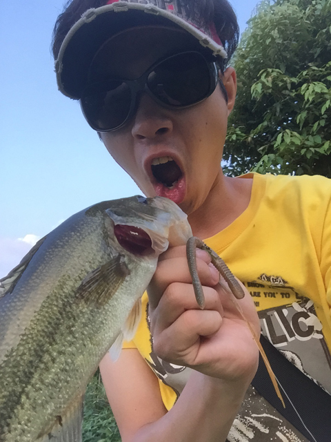 モカマウンテン