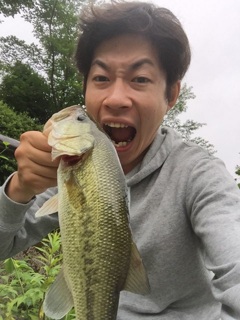 モカマウンテン