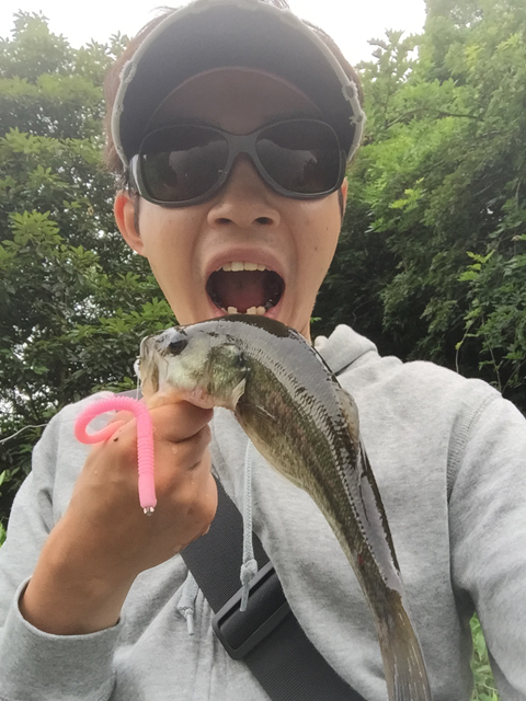 モカマウンテン