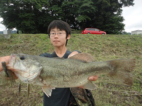やっぺ