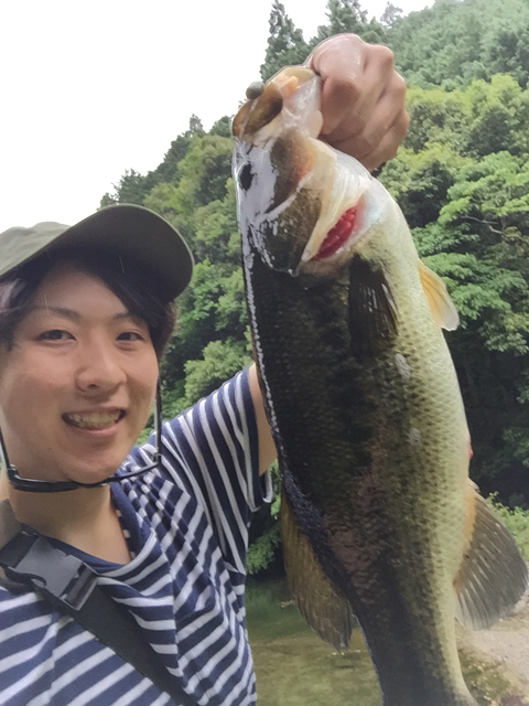 けん
