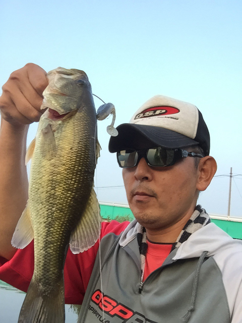 すぅさん