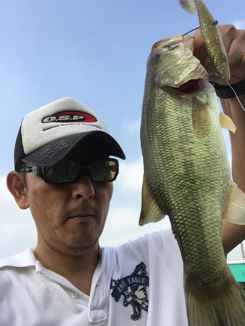 すぅさん