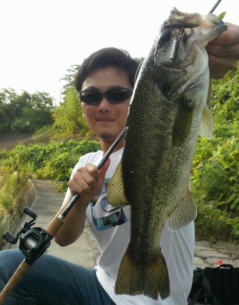 マサ
