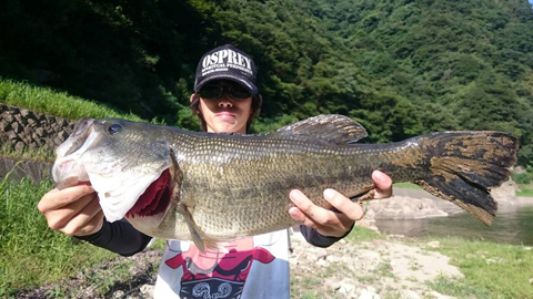 陸魂！