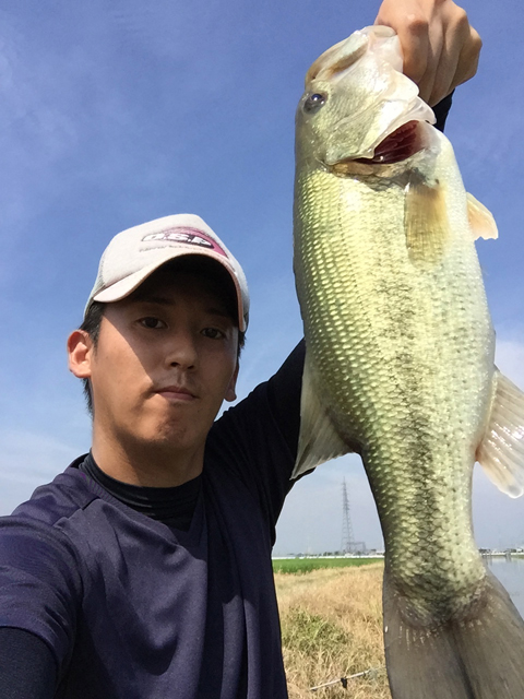 あんず