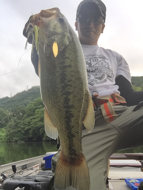 ouachita