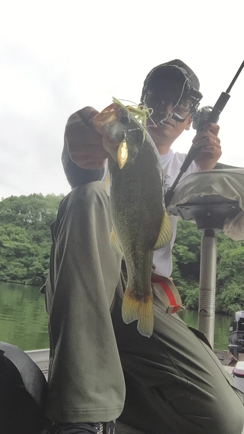 ouachita