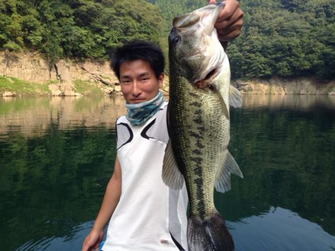 teru
