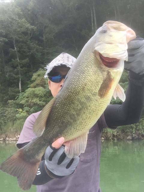 TackleJunky