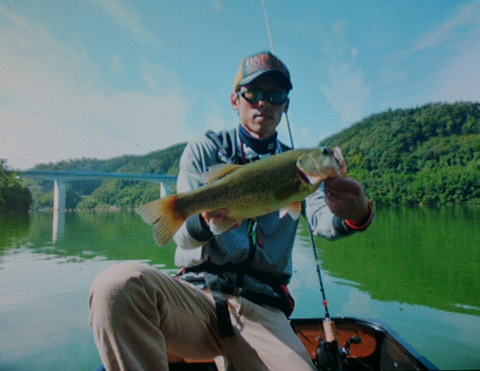 魚鷹
