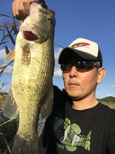 すぅさん
