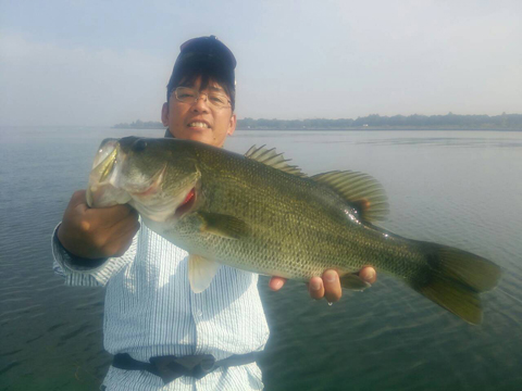 しばやん