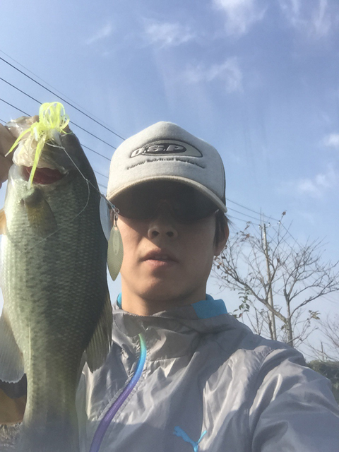 たー坊