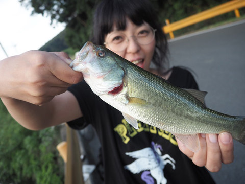 まいちょ