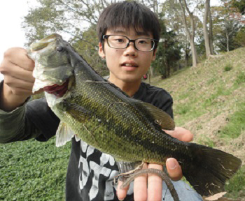 やっぺ