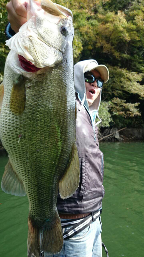 パンチョリーナ