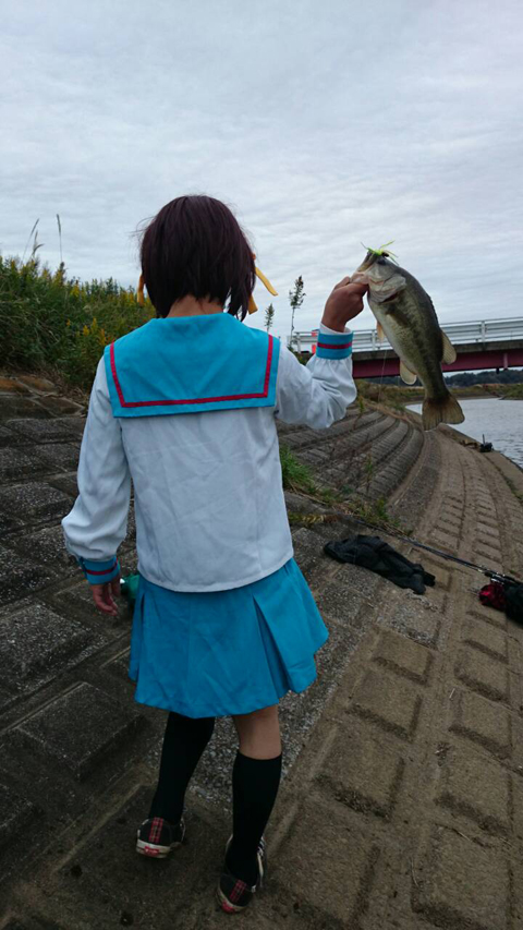 桐乃