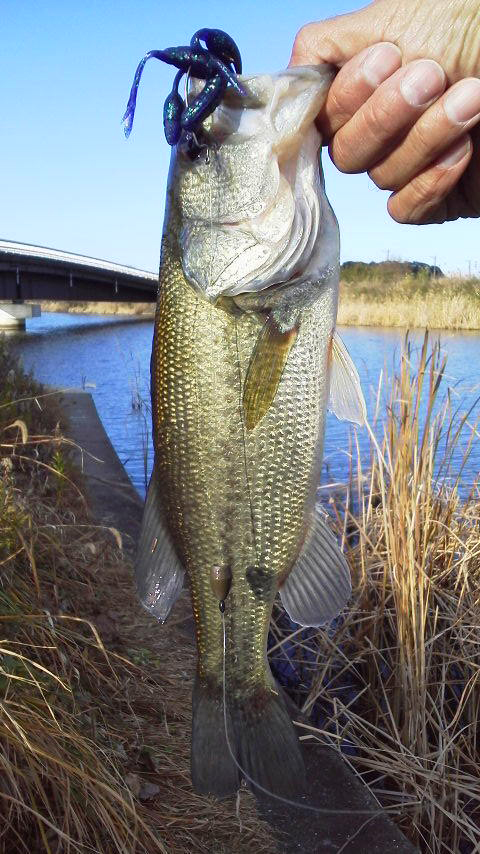 こうちゃんパパ