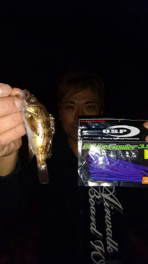 釣れないCLUB