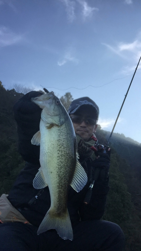 ouachita