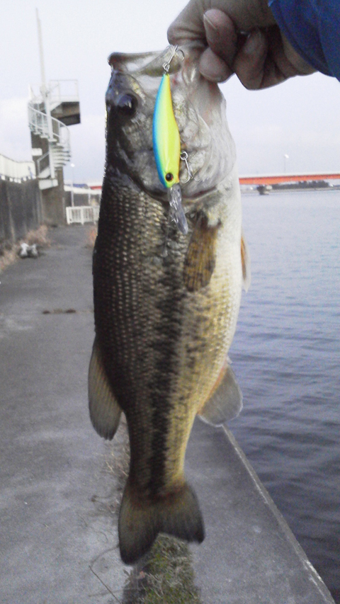 こうちやんババ