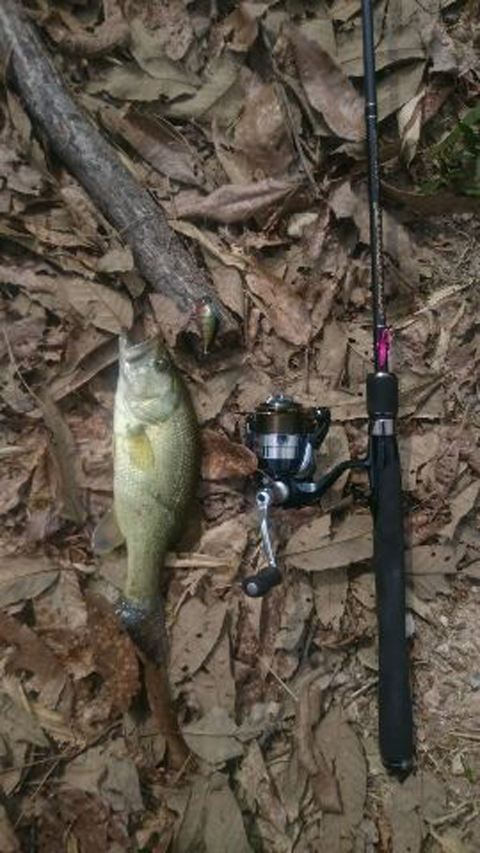 シティハンター