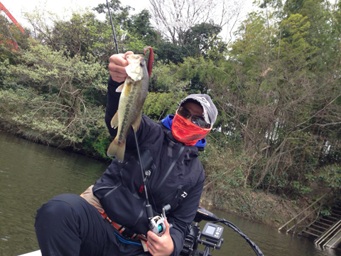 ouachita