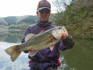 魚鷹