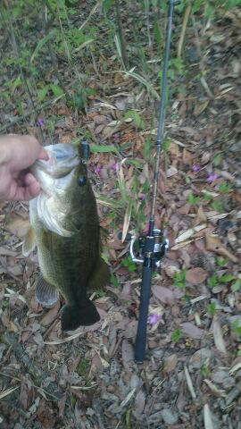 シティハンター