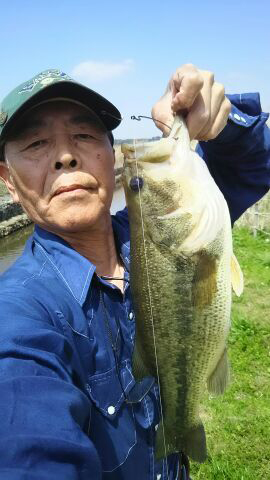 印旛の仙人　渡邉