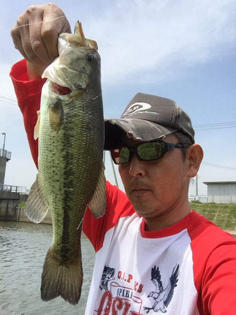すぅさん