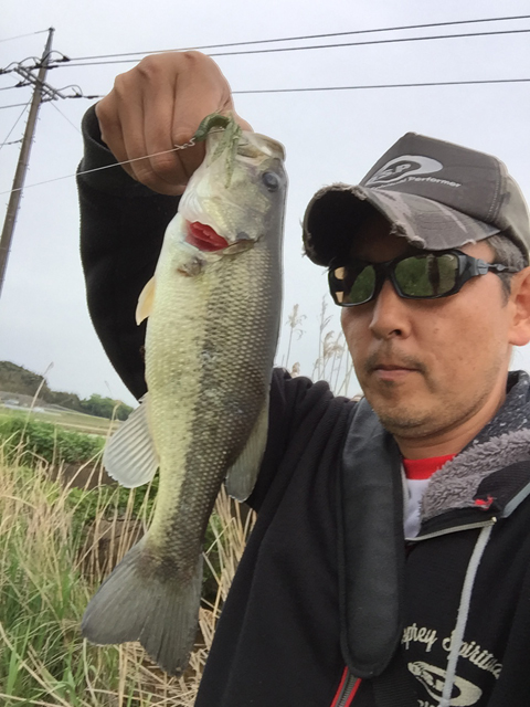 すぅさん
