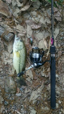 シティハンター