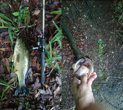 シティハンター