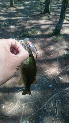 シティハンター