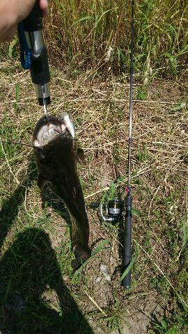 シティハンター