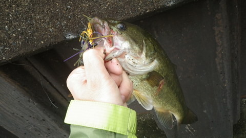 ジャンケン弱い人