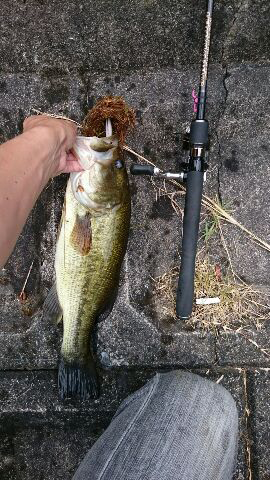 シティハンター