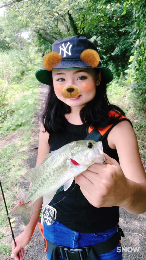 ありんこ