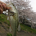 なみてぃ～