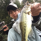 かつむ