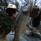 かつむ