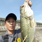 シャア少佐