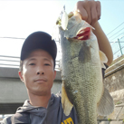 シャア少佐